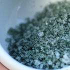 spirulina03